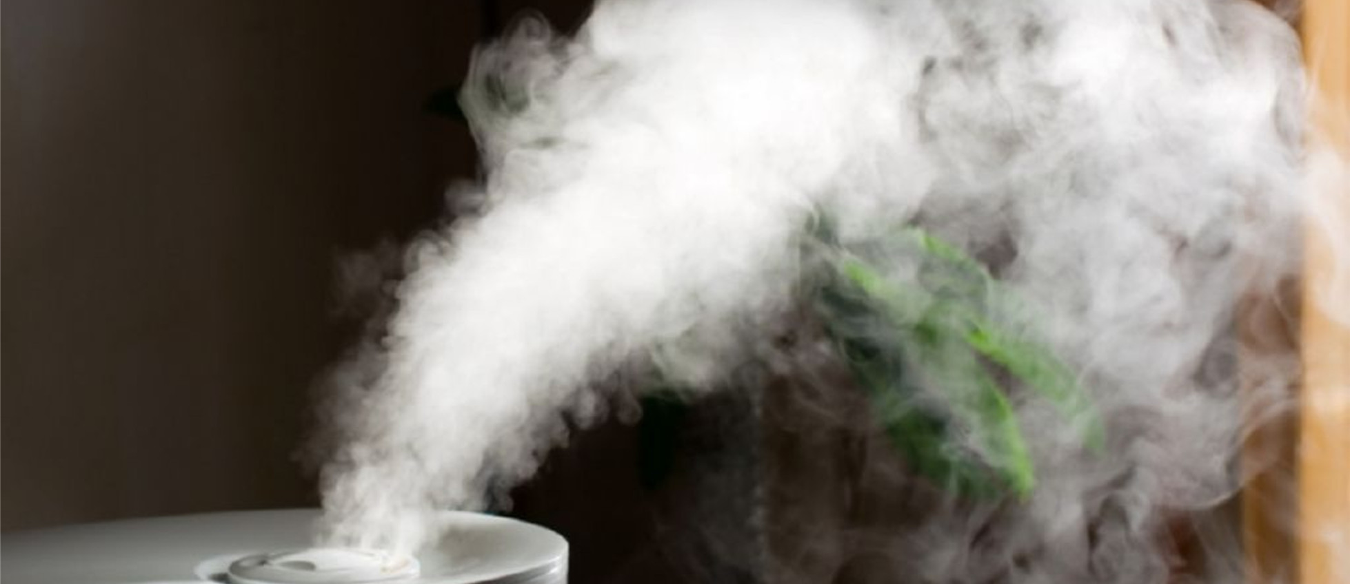 Humidificación y suministros diversos